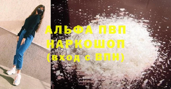 шишки Беломорск
