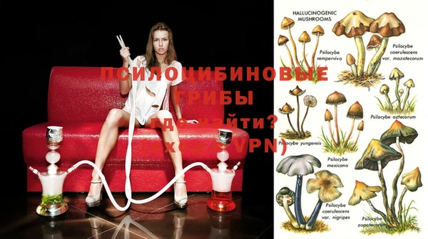 марихуана Баксан